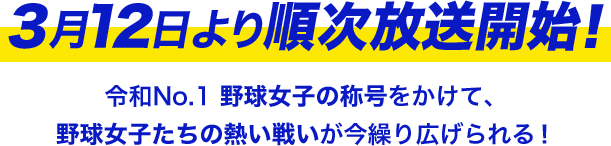 キャンペーン 球春祭特設サイト 八月のシンデレラナイン ハチナイ
